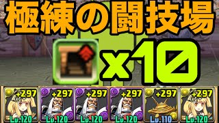 【極練の闘技場】サレーネJPずらしで1分台周回！ランク上げ【パズドラ】