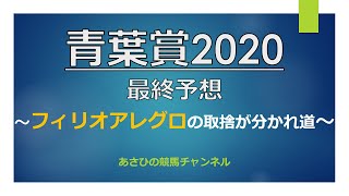 【競馬予想】 青葉賞2020 最終予想　今年の青葉賞の明暗を分けるのは間違いなくフィリオアレグロです。この馬をどこまで信じて、どれだけ見限れるか、ただそれだけです。