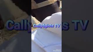 Callydgists TV: Youths injured by the gunshots fired by policemen