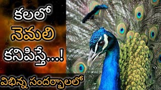 కలలో నెమలి కనిపిస్తే || Kalalo Nemali Kanipiste || Peacock in Dream Analysis \u0026 Meaning || Dreambook