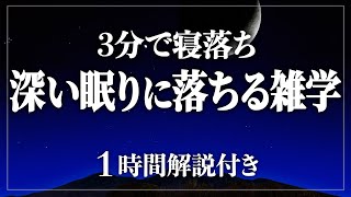 【睡眠導入/作業用】99%が寝落ちする雑学 癒やされながら質の高い眠りを 寝ながら賢くなる日常生活100の雑学1時間【BGMなし】【男性朗読】