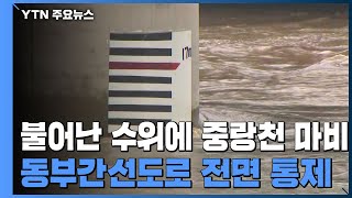 불어난 수위에 중랑천 마비...서울 동부간선도로 전면 통제 / YTN