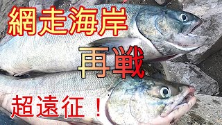 【鮭釣り】オホーツク網走海岸でサケ調査！激戦区で再戦してきました！