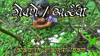 कोकणच्या रानातील रोवणे / अळंबी : चमचमीत भाजी आणि जंगल सफर  | Mushroom - Konkan Jungle Vegetables