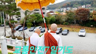 청계산정토사TV 보광스님 490호 교통안전7일기도 교통안전소재의식(ven.bokwang jeongtosa temple pure land buddhism)'24.11.1