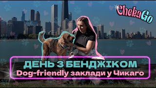 VLOG 1: ДОСЛІДЖУЄМО DOG-FRIENDLY ЗАКЛАДИ ТА ПАРКИ У CHICAGO. Найкращі місця для вихідного з собачкою