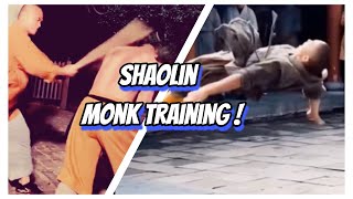 Shaolin Monk Training  #shorts #shaolin #KungFu