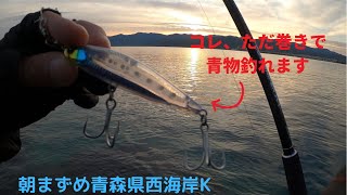 青森県西海岸K ショアジギング