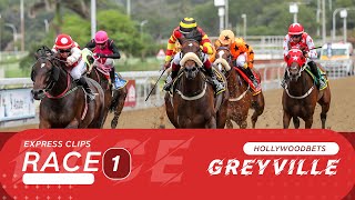 20240522 Hollywoodbets Greyville Race 1 won by PROFESSOR LUPIN