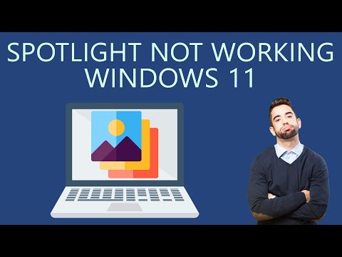 Windows 11 Spotlight Not Working? 9 Solutions and 3 Checks to Perform