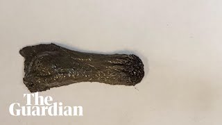 Scientists develop a moving, shape-shifting magnetic slime