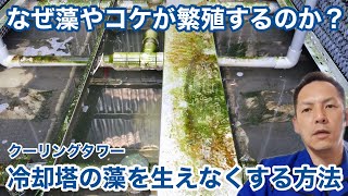 「冷却塔（クーリングタワー）に藻やコケが繁殖する理由」冷却塔トラブル改善プロ・セールスエンジ・ご対応エリア：福岡県 /山口県/ 熊本県 / 佐賀県 / 大分県 / 長崎県 / 鹿児島県 / 宮崎県