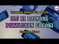 ILUNI DAINANG PATALUHON GOGOKI KARAOKE NADA PRIA ROINNA SIAHAAN