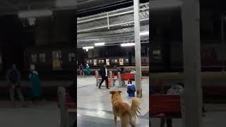 LINGAMPALLI RAILWAY STATION NIGHT TIME SHORTS