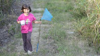 老外的七個女兒住台灣鄉下，閒暇時間可以做什麼呢？Tech-Free Girls Explore Taiwan Countryside, Catch Critters, \u0026 Make Memories