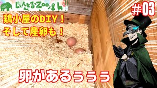 【にわとり】鶏小屋のDIY！そして産卵も！　＃３