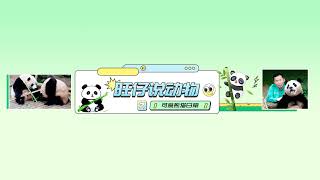 🐼🐼💖熊猫爱好者的天堂，专注于分享那些可爱的熊猫及其日常生活的点点滴滴