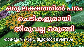 തിരുവല്ലക്ക് തിളക്കമേകാൻ ഒരുലക്ഷം പരം ചെടികളുടെ വർണ്ണ വിസ്മയം 🤗😍🌹 | 1000 varient flowers @ Tiruvalla