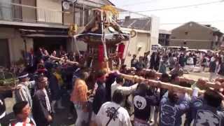 平成27年 秦野市 今泉神社 例大祭 本社神輿渡御。