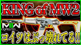 【COD:MW2】環境破壊最強AR『KASTOV -74U』の海外実況者カスタムがエグすぎる!!w 最強越えて最早害悪レベルwww【AK-74U】【CoDモダンウォーフェア2】【MW2】