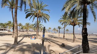 Playa S' Arenal Mallorca Spain 4k