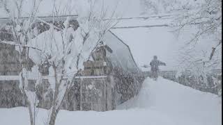 除雪「大屋根の雪下ろし」