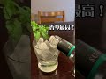 今日もお疲れ至極の一杯　ginといえば翠。最高でしょ👍 gin 翠 2023.6.15