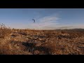 falconry dirt hawking dec 10 jackrabbit