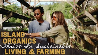 Island Organics Bali | Thrive In Sustainable Living And Farming #bali #farming #sustainableliving