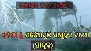 ମାଡିଆସୁଛି ସାମୁଦ୍ରିକ ବାତ୍ୟା ପାବୁକ 🔥Cyclone Pabuk approaches 7 Dist. of Odisha 🔥Be Alert