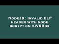 NodeJS : Invalid ELF header with node bcrypt on AWSBox