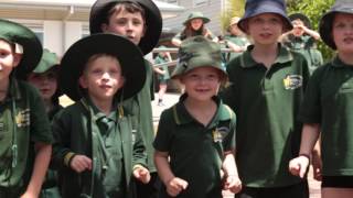 Learning German in Primary Schools in Australia