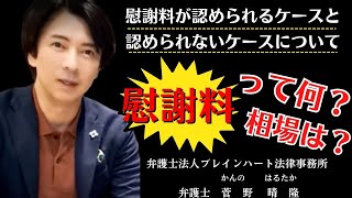 【慰謝料って何？相場は？】　#菅野晴隆