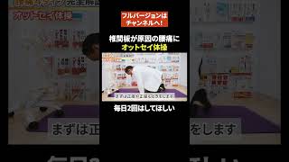 【初心者向け】腰痛(椎間板ヘルニア、脊柱管狭窄症など)の４タイプの原因、ストレッチ、対処法