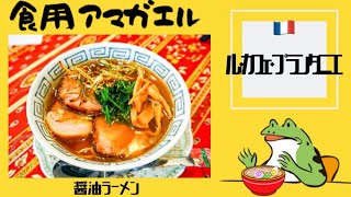 秋田県横手市十文字町‼️【ル・カフェ・プランタニエ】宿泊できる珍しいフランス料理店で、月に2回限定のラーメンの日に、シェフ渾身の『醤油ラーメン』を食す‼️