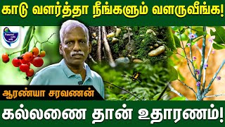 தமிழர்கள் இதனால தான் ஐந்திணையா பிரிச்சு வாழ்ந்தாங்க - Saravanan | Aranya Auroville Forest #auroville