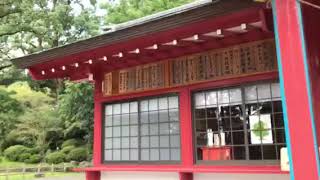 日本一の大楠が御神木 蒲生八幡神社 鹿児島