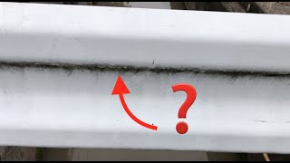 【自然観察】ガードレールはなぜ汚れているの？ Why is the guardrail dirty?