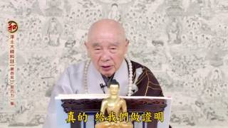 二零一四淨土大經科註（第四回 第451集） 淨空老法師 (有字幕)