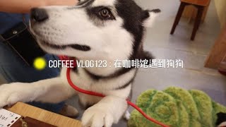 咖啡馆日常Vlog123 ~ 来咖啡馆冒险的狗狗超多一天 #vlog日常