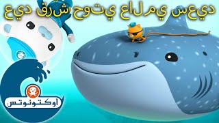 أوكتونوتس | 🐋 عيد قرش حوتي عالمي سعيد 🦈 | حلقات مجمعة