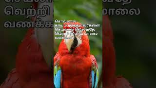 உங்களை சொல்லால் காயப்படுத்திய அவர்களை நீங்கள் செயலால் செய்து காட்டுங்கள்/ #song / #music /shorts