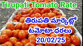 20 -02-2025|| Today tomato rate Tirupathi || Tirupathi Tomato rate Today Top | తిరుపతి టమోటా ధరలు 🍅🍅