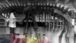 Colorado Experience: Dinosaurs - Promo
