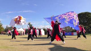 「知多きらく」碧南よさこいやってみりん祭2017 ♪天邪鬼 朱雀