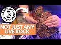 How Real Aquarium Live Rock Benefits Your Reef Tank!