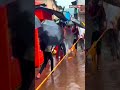 mumbai rains intensify netizens say it s crazy mumbai rains today 2023 mumbai weather viral