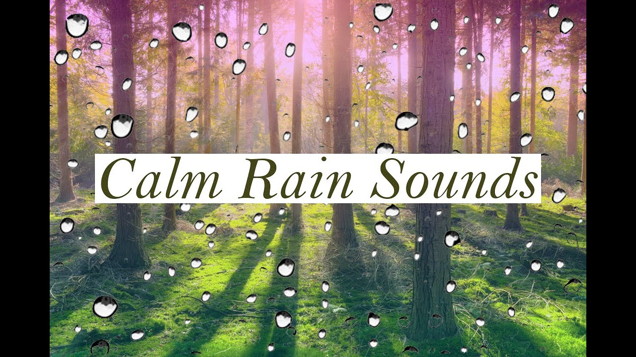 Gentle Rain Sounds For Reading And Sleeping - YouTube