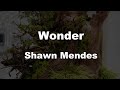 Karaoke♬ Wonder - Shawn Mendes 【No Guide Melody】 Instrumental