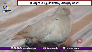 Baba Carrying Pigeon on His Head for 9 Yrs | Maha Kumbh | 9ఏళ్లుగా తలపై పావురాన్ని మోస్తున్న బాబా